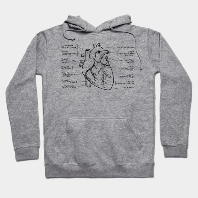 Anatomical Heart Diagram (Black Text) Hoodie by jleonardart